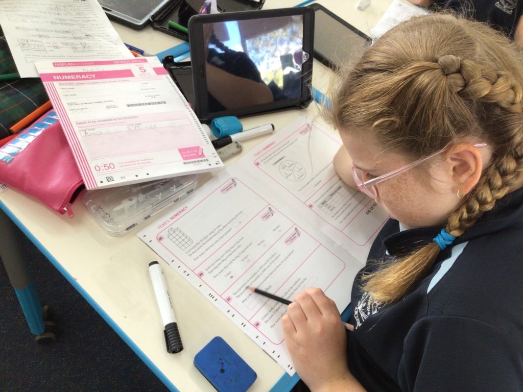 Mount carmel school holiday homework class 6 08 picture